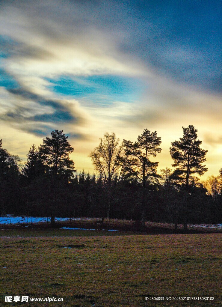 黄昏时分的森林与天空景色