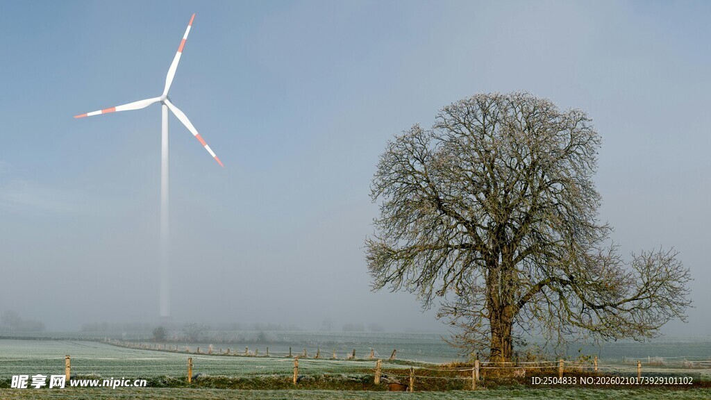 田野边的风车与孤树
