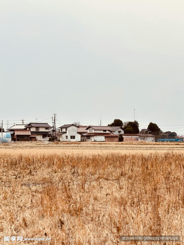 田野旁的村庄景象