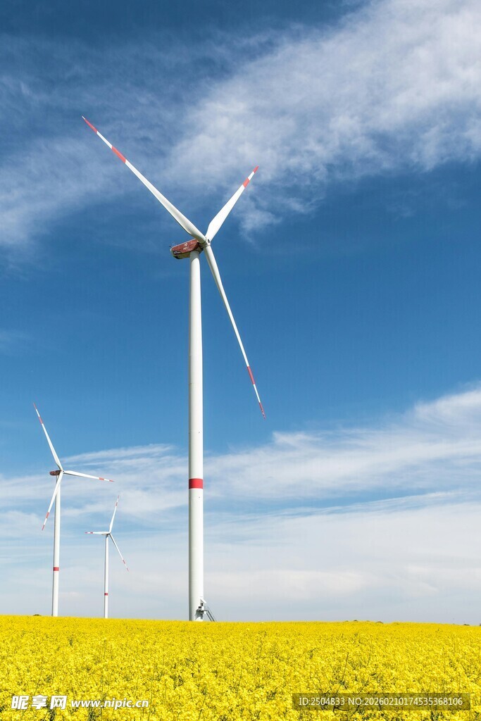 金黄田野上的风力发电机组