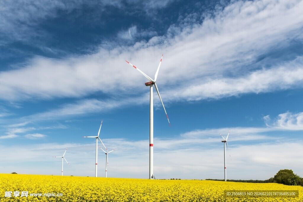 金黄田野上的风力发电机组