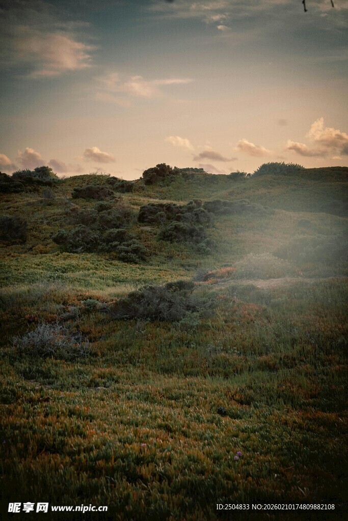 黄昏下的旷野美景