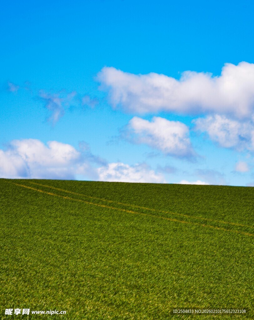 广袤绿野上的蓝天白云