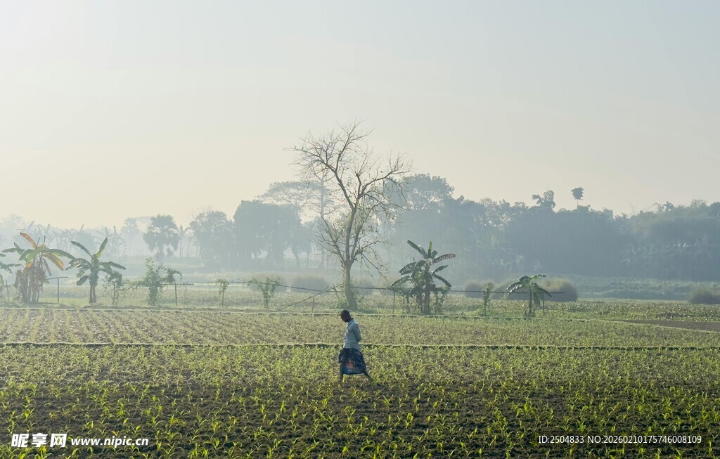 田野中独自行走的身影