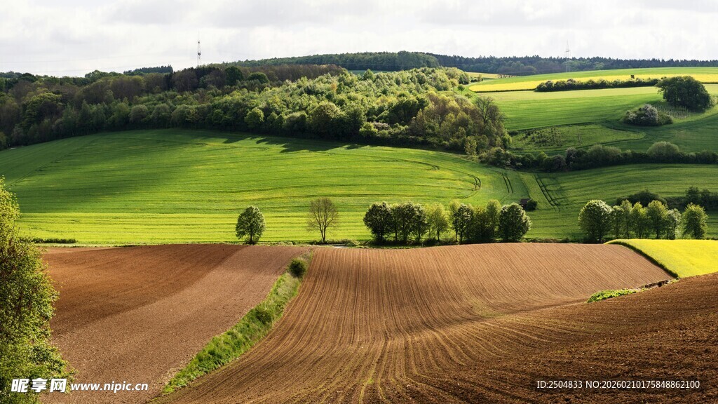 田园风光 广袤田野绿意浓