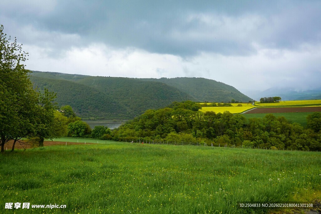 田园绿野风光美景