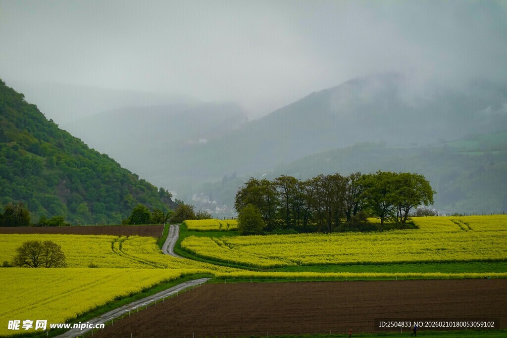 山间田野风光 黄绿交织
