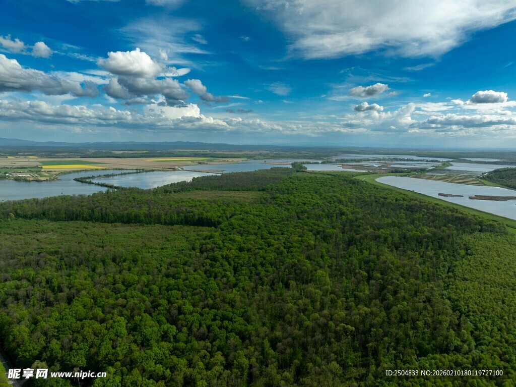广袤森林与开阔水域景观