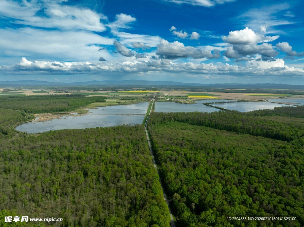 广袤森林与开阔水域景观
