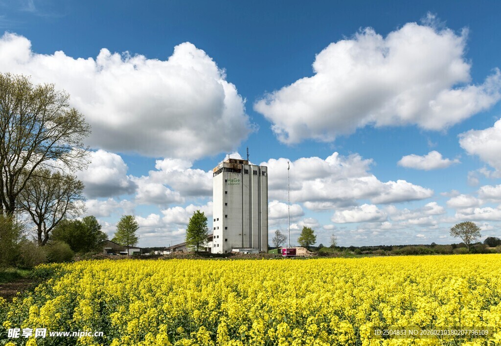 金黄田野中的白色高塔