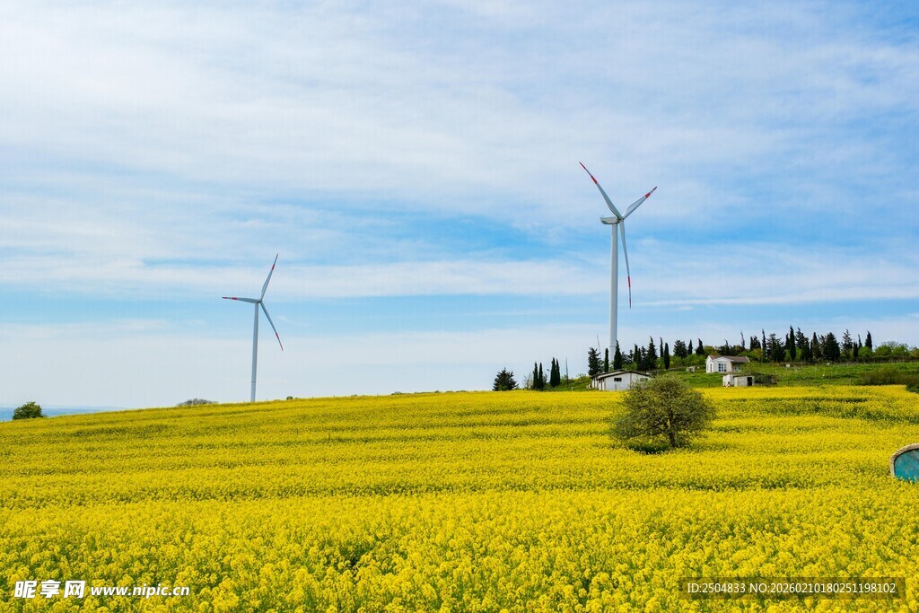 金黄田野上的风力发电机