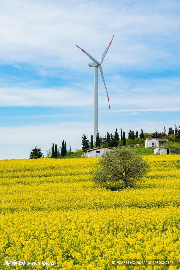 金黄田野中的风力发电机