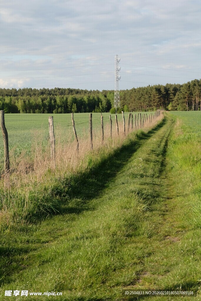 田野间的绿色小道