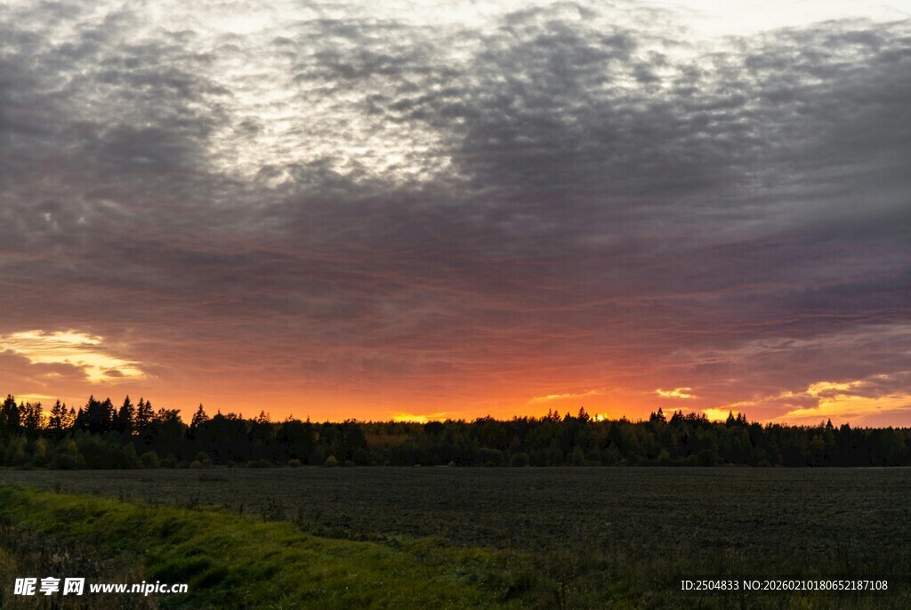 日落时分的田野风光