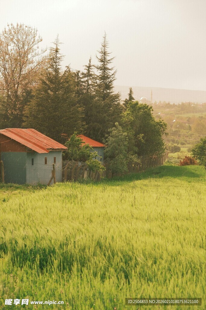 乡村田野中的红顶小屋