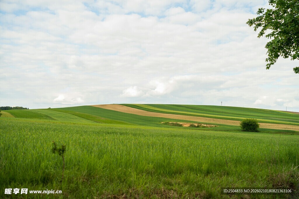 广袤绿野田园风光美景