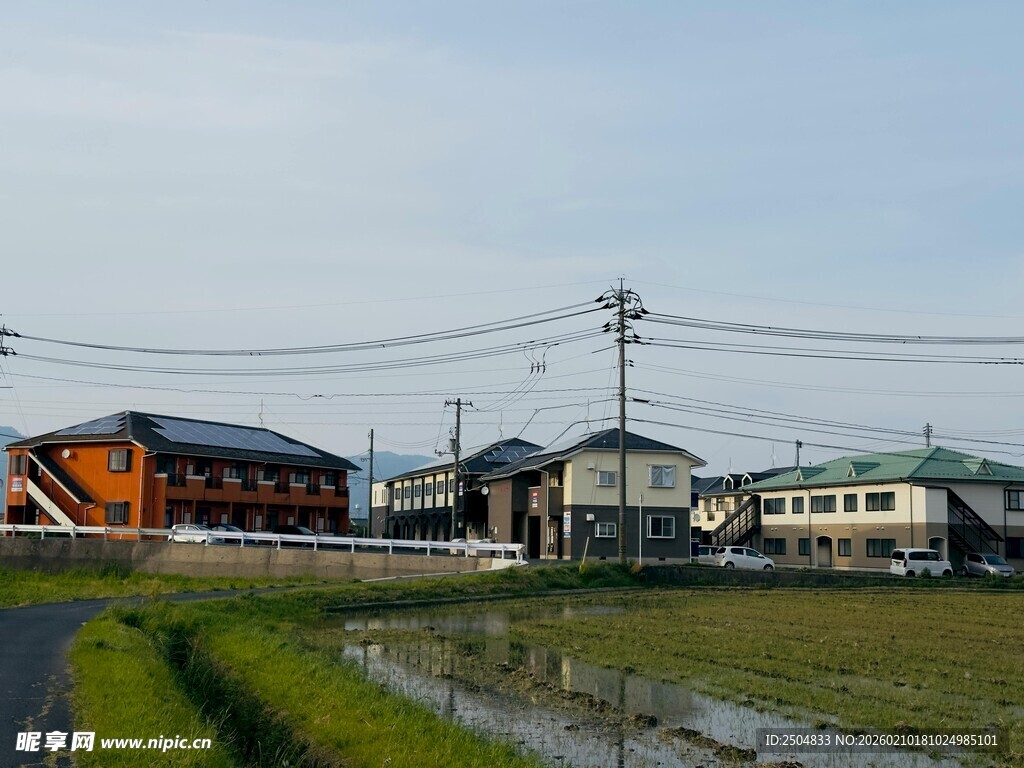 乡村田园风光中的 居