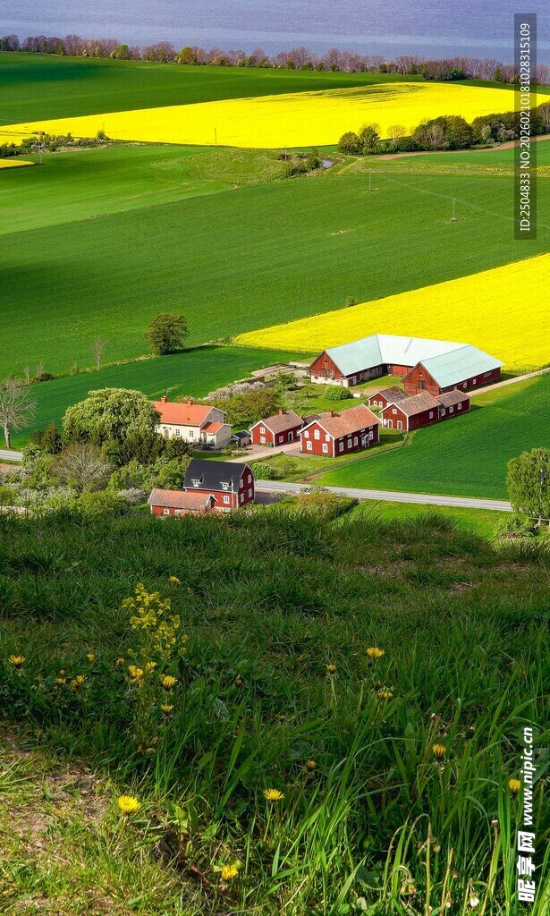 田园风光中的多彩田野