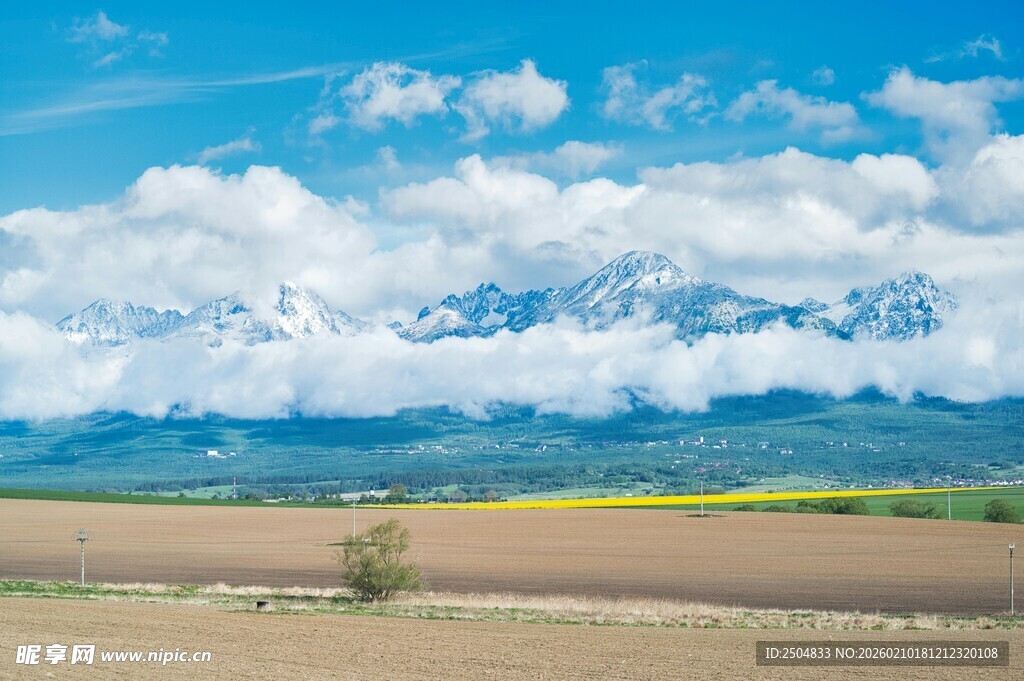 广袤原野与远处雪山美景