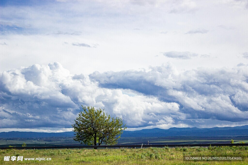 草原孤树与壮阔云天