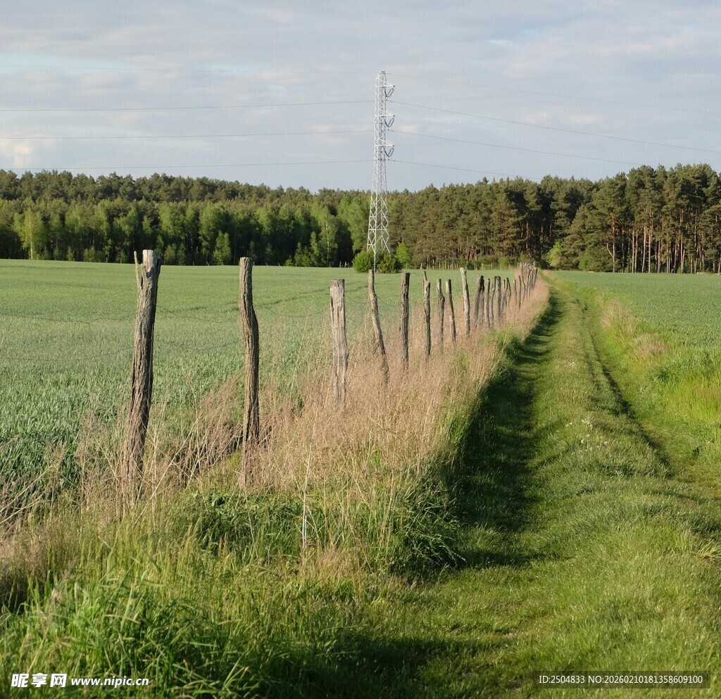 田野小径旁的木栅栏