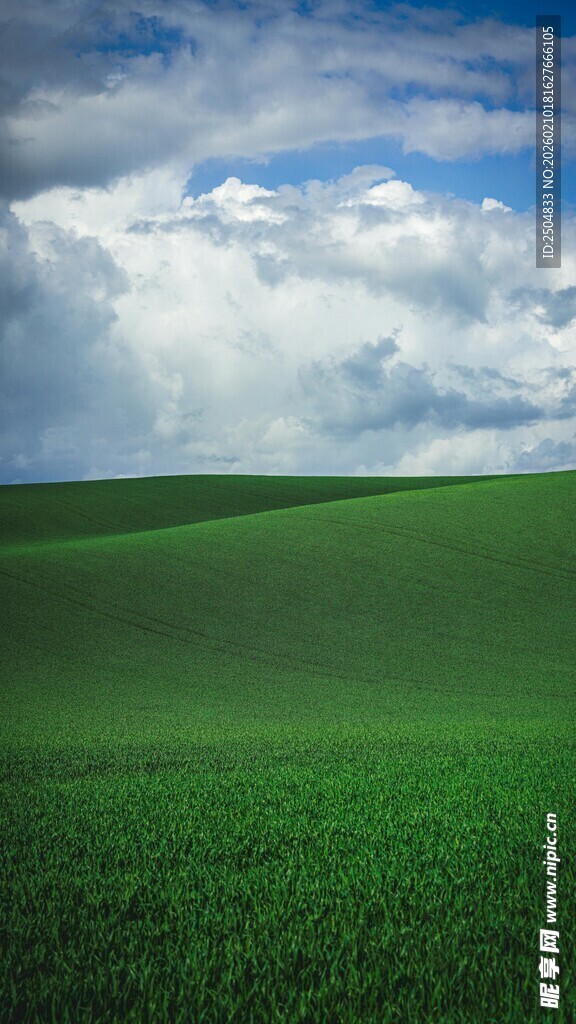 广袤绿野上的蓝天白云