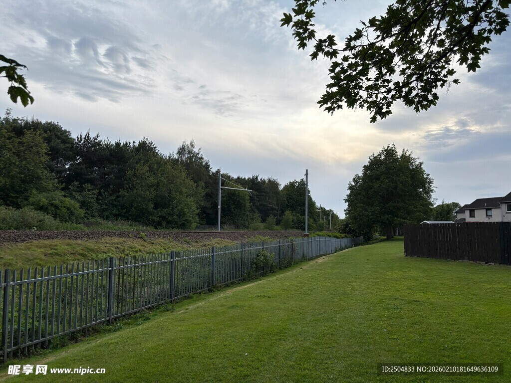 户外围栏旁的翠绿草地