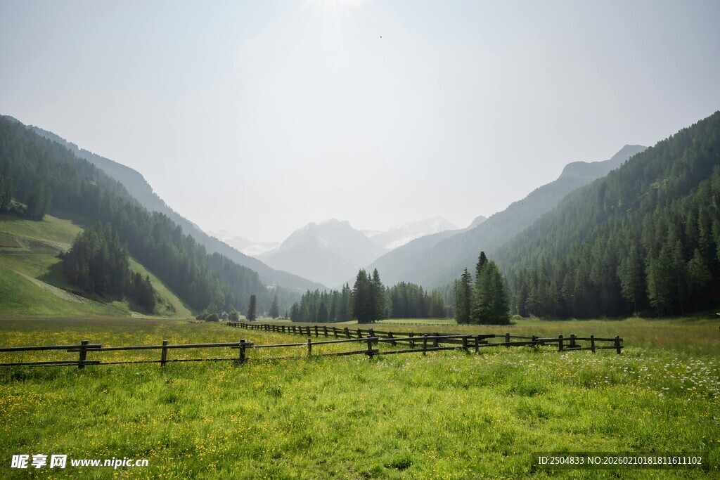 山间绿野风光如画