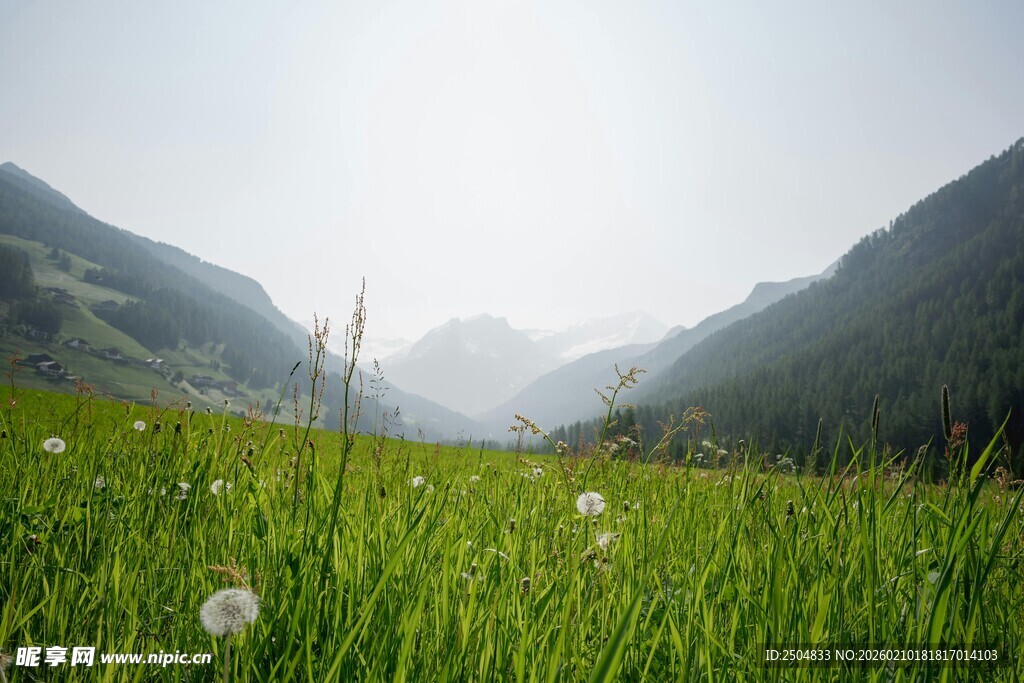 山间绿野 清新自然美景
