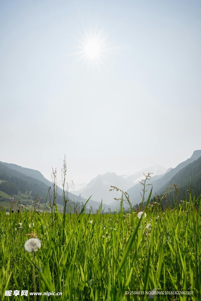 绿野山间的清新自然景象