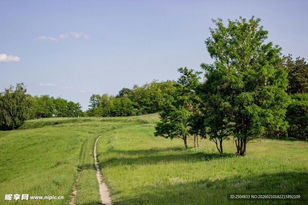 绿野林间小径 自然美景