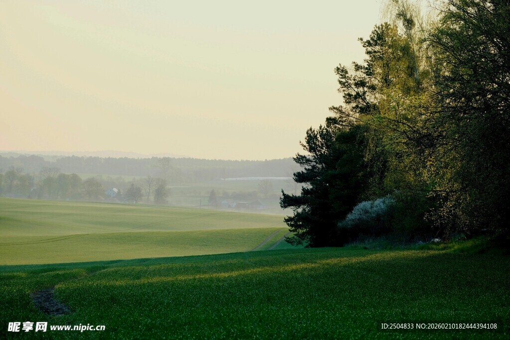 田园绿野风光
