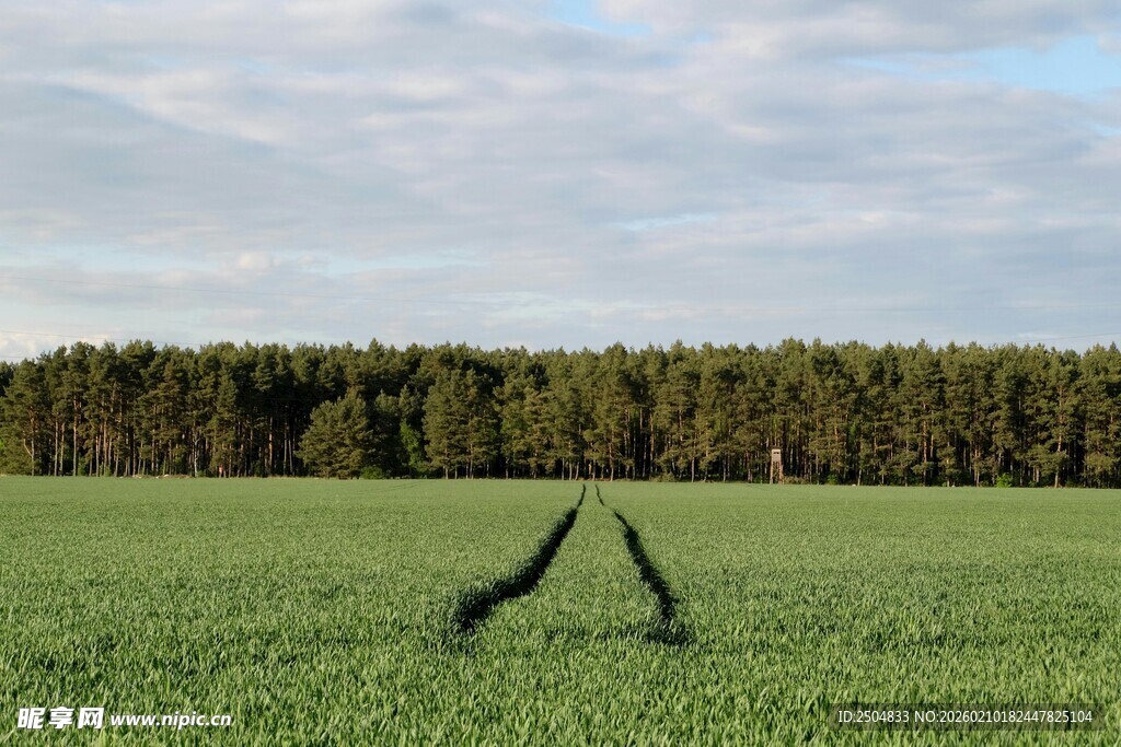 田野中张开双臂的人