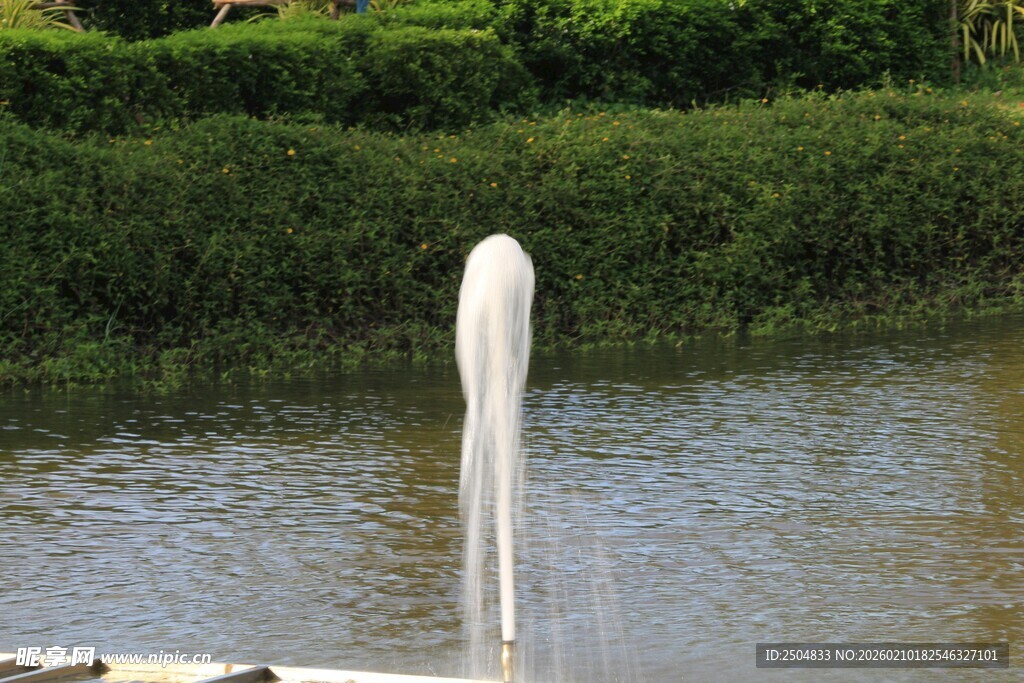 水边的白色神秘物体