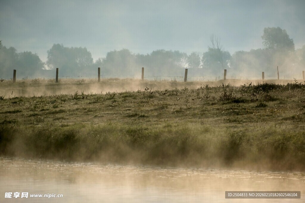雾中乡村田野景象