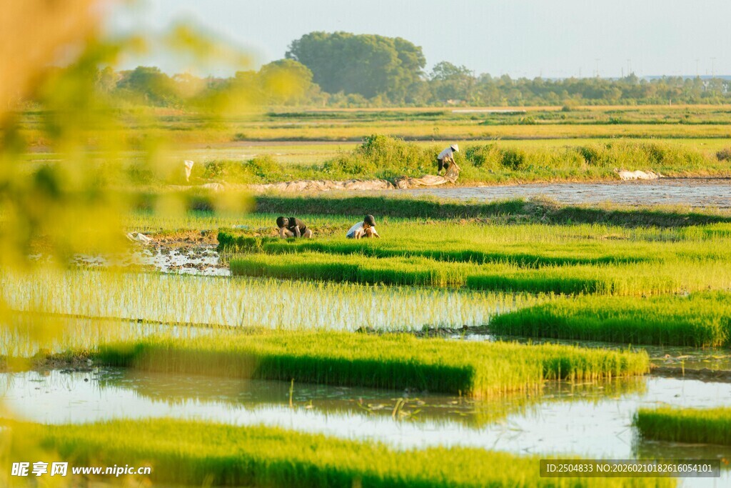 田园水乡风光美景