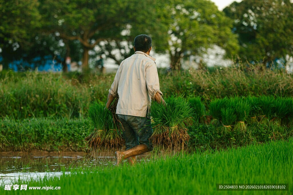 田间劳作的农民