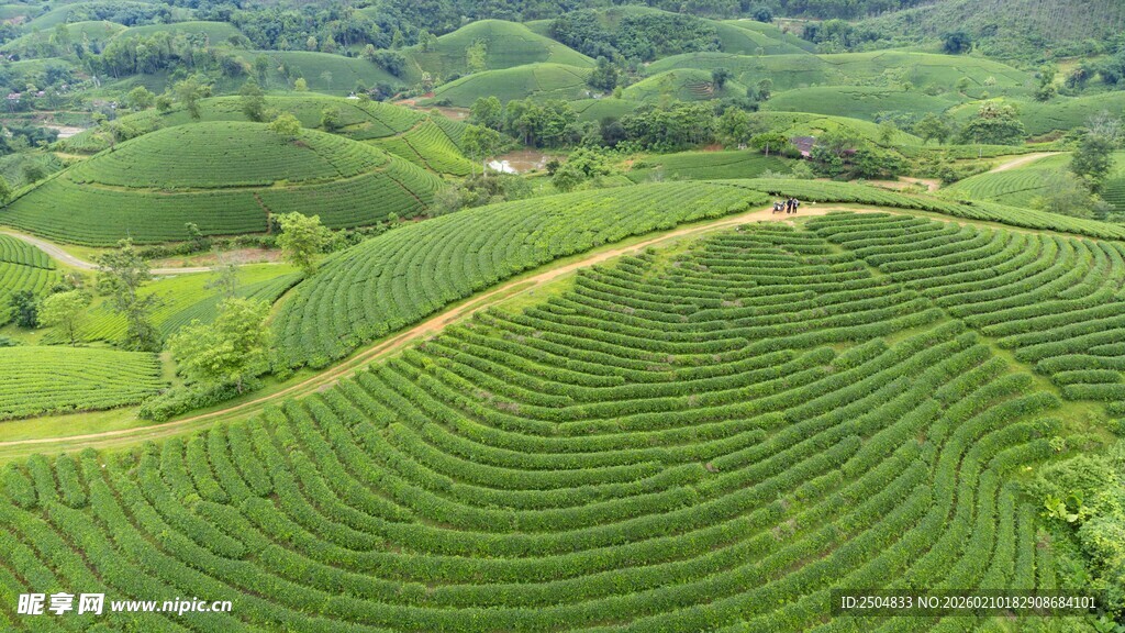 翠绿梯田 山间田园美景