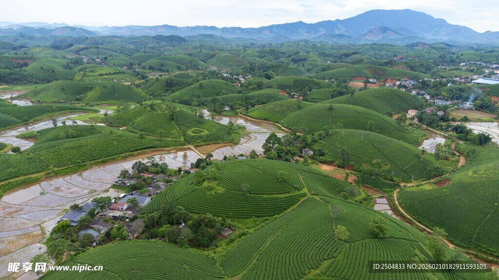 田园风光绿意盎然的美景