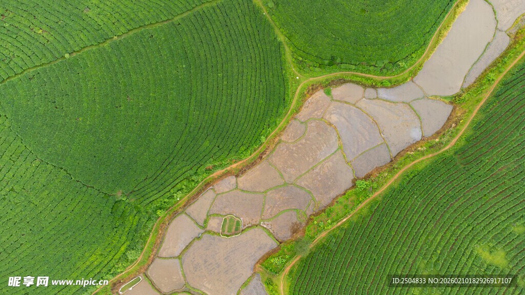 俯瞰田间蜿蜒小路