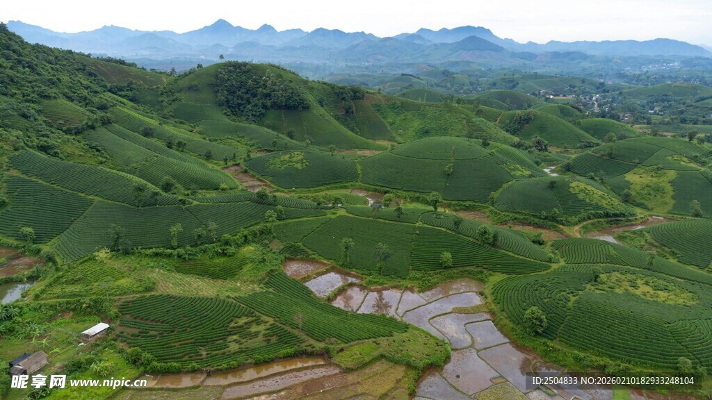 青山绿水间的田园风光
