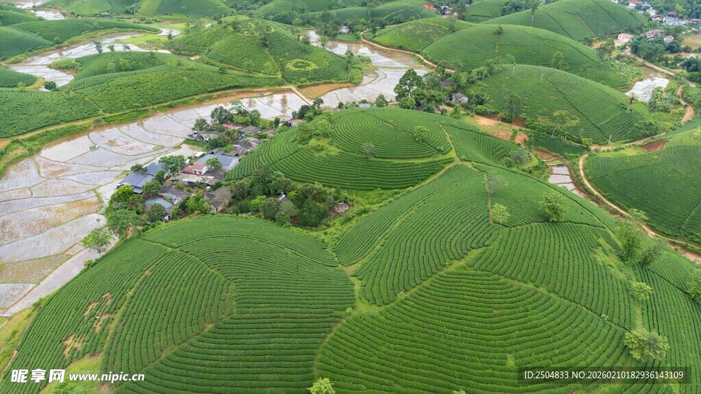 俯瞰翠绿田野与蜿蜒河流