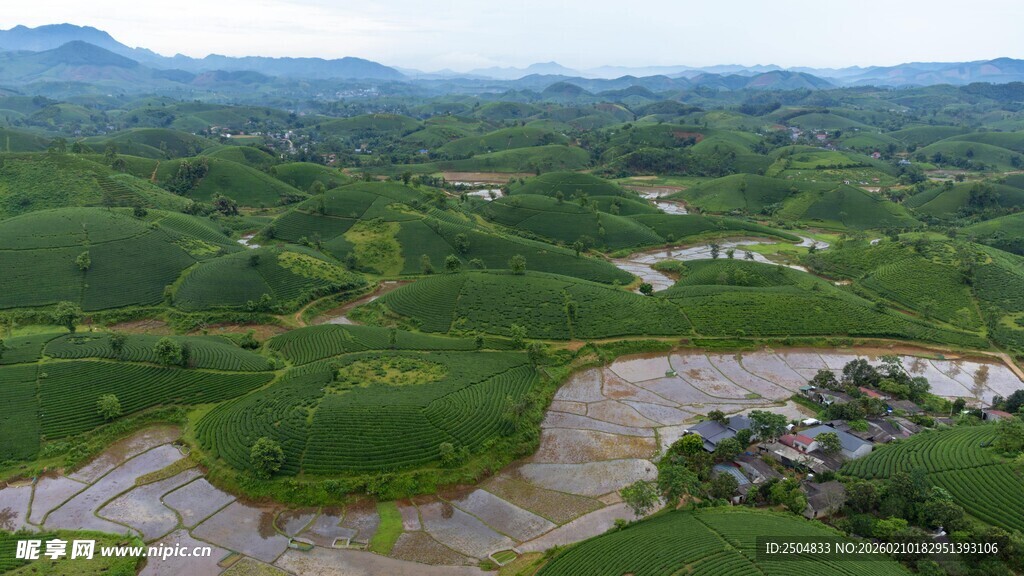 翠绿山丘间的开阔风景