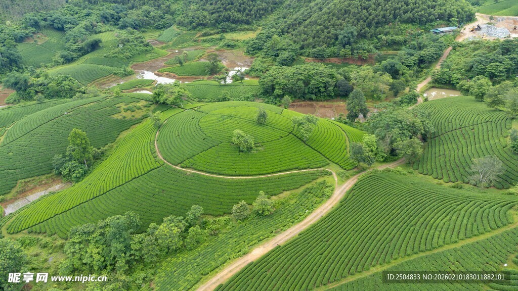 航拍翠绿山间田园风光
