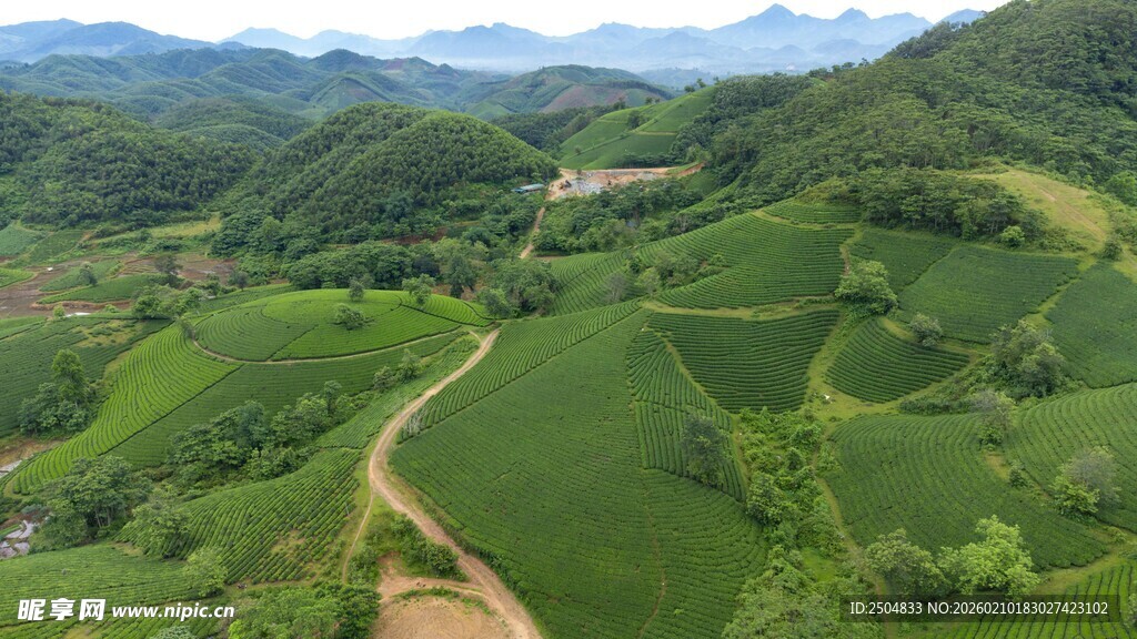 航拍山间绿意盎然的梯田