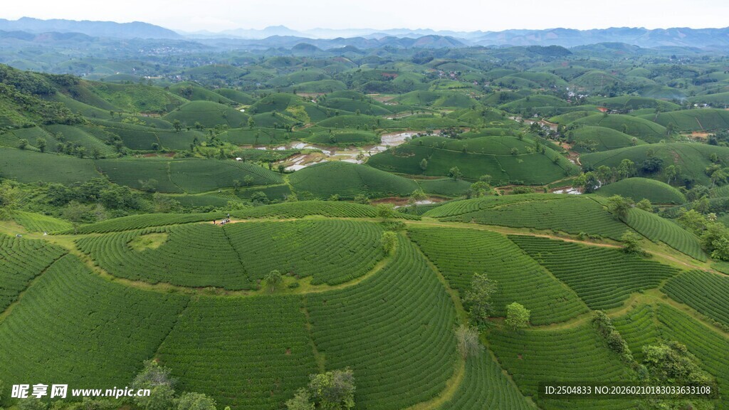 航拍绿色梯田田园风光
