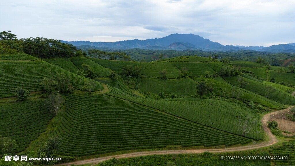 青山绿野间的蜿蜒小路