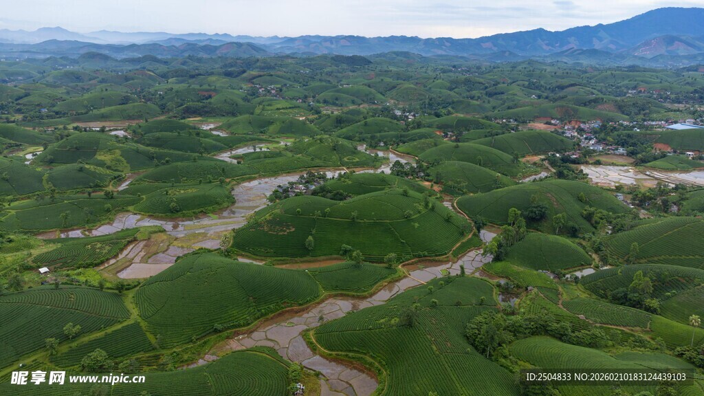 俯瞰绿意盎然的田园风光