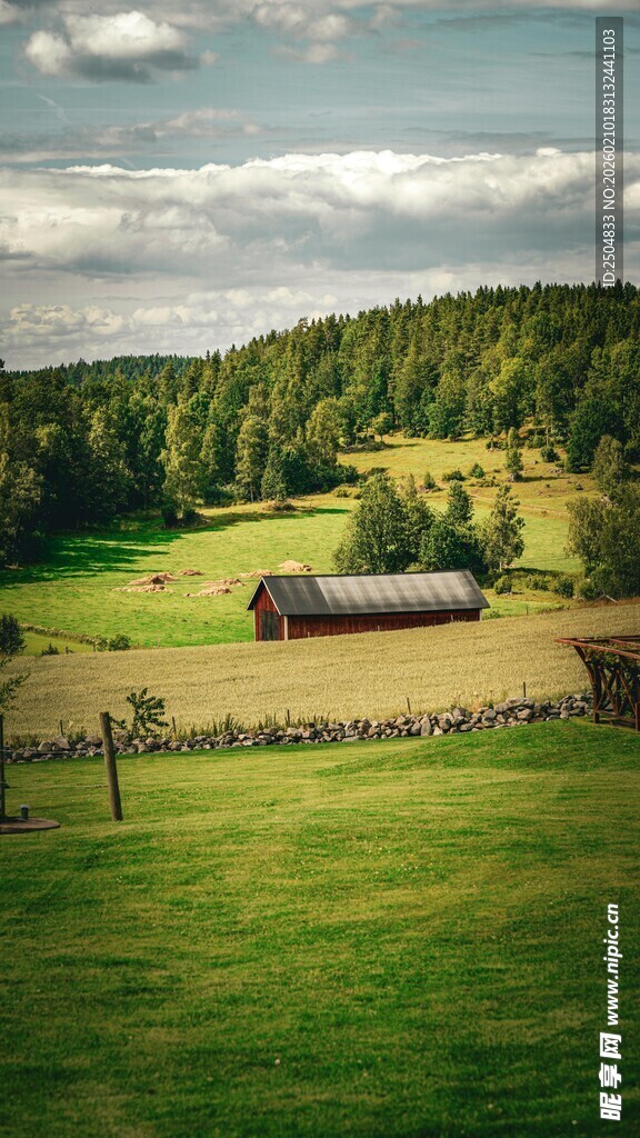 田园牧场景色
