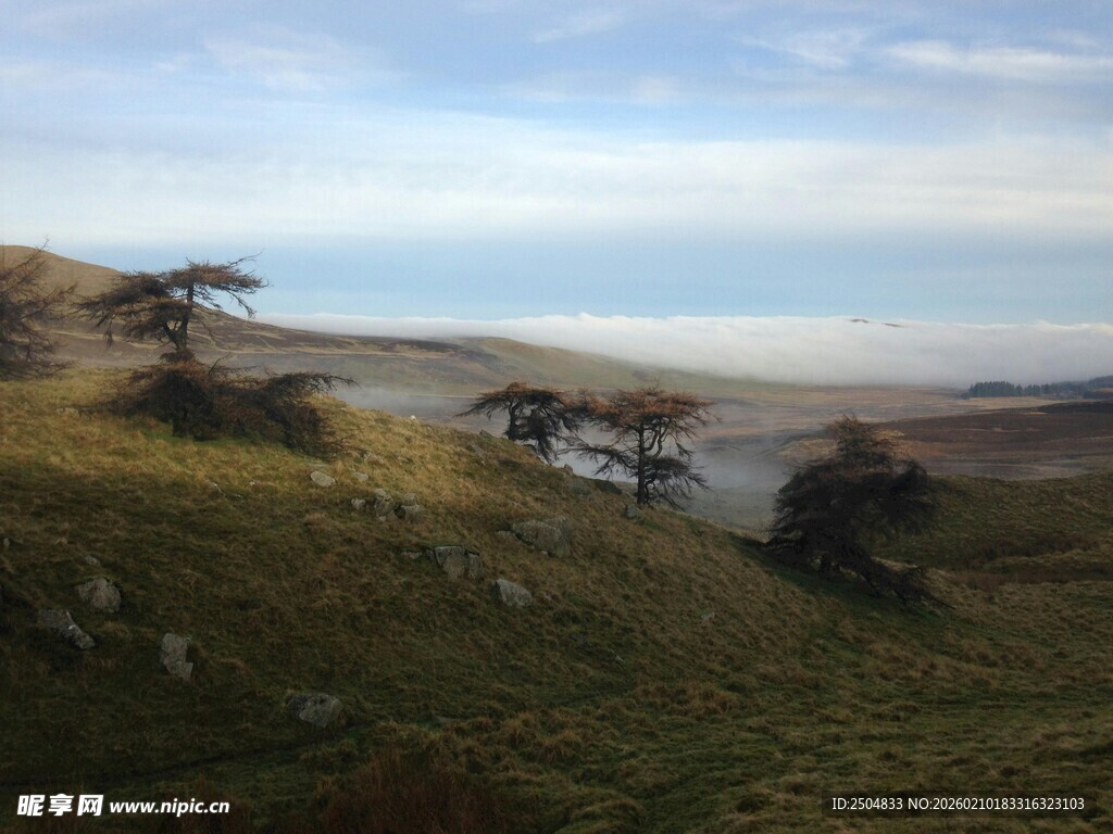 山间远景 草地与树木景观